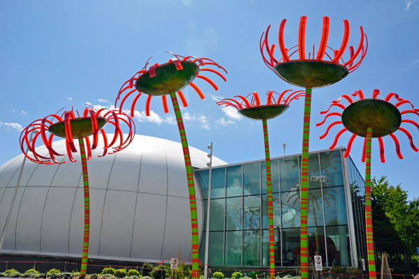 art at the Seattle Center